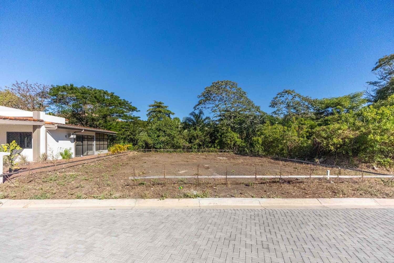 Lot 01 - Image 3