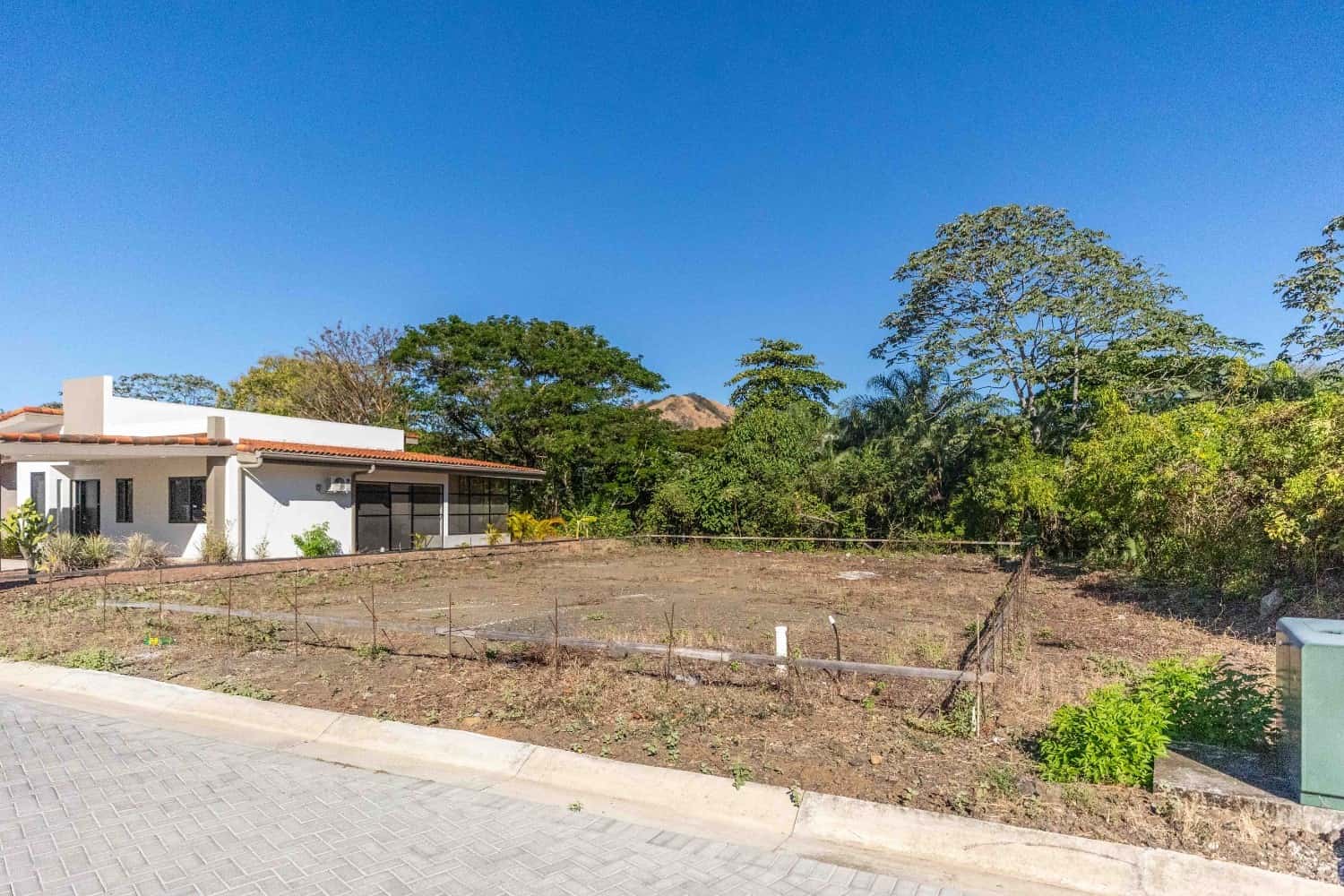 Lot 01 - Image 4