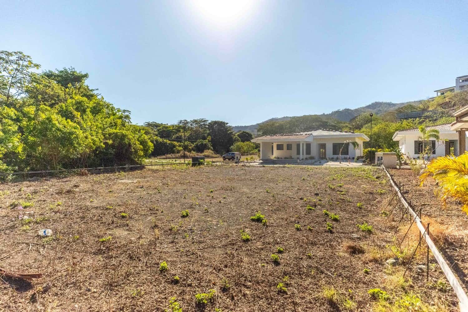 Lot 01 - Image 5