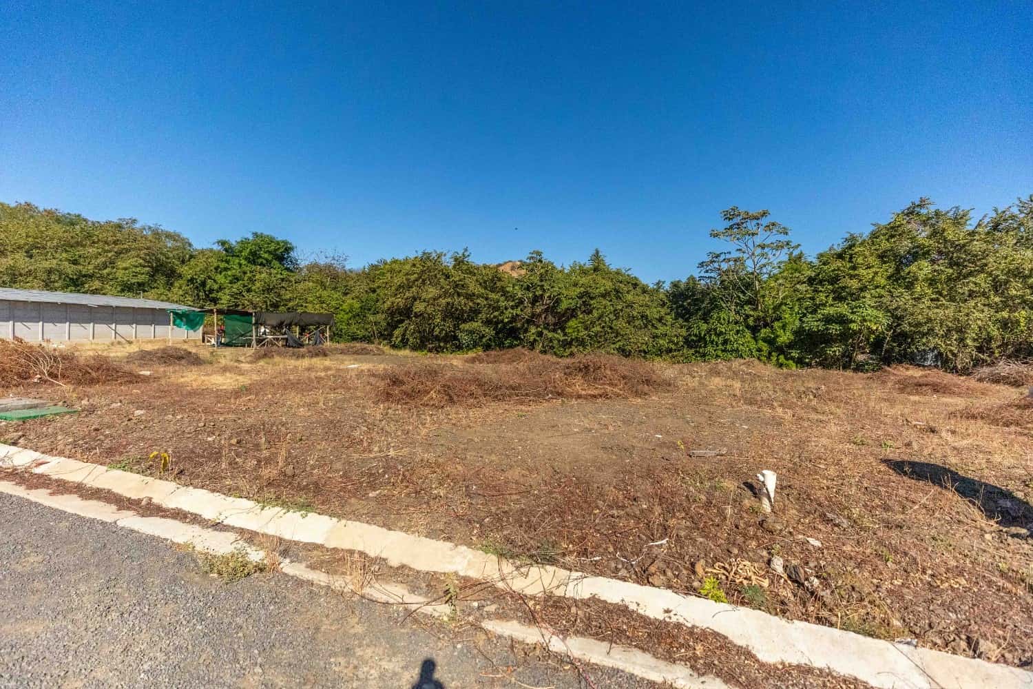 Lot 09 - Image 1