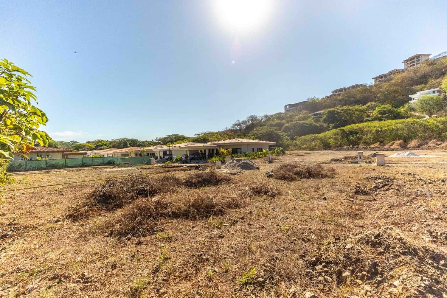 Lot 09 - Image 2