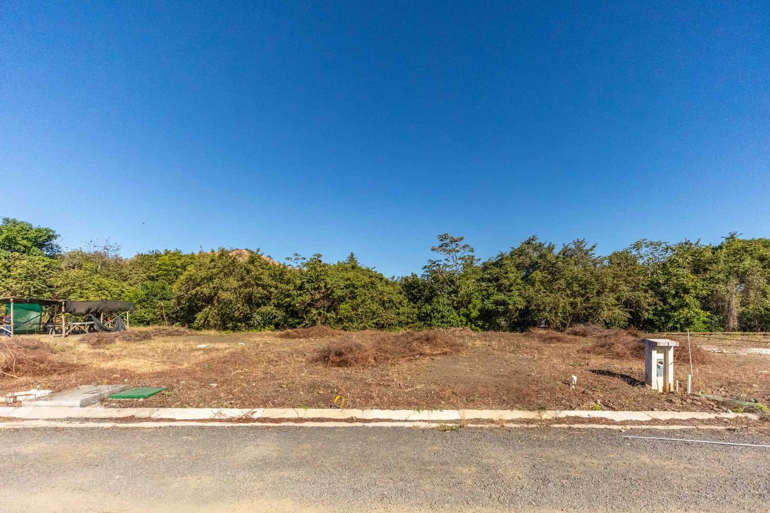 Lot 10 - Image 1