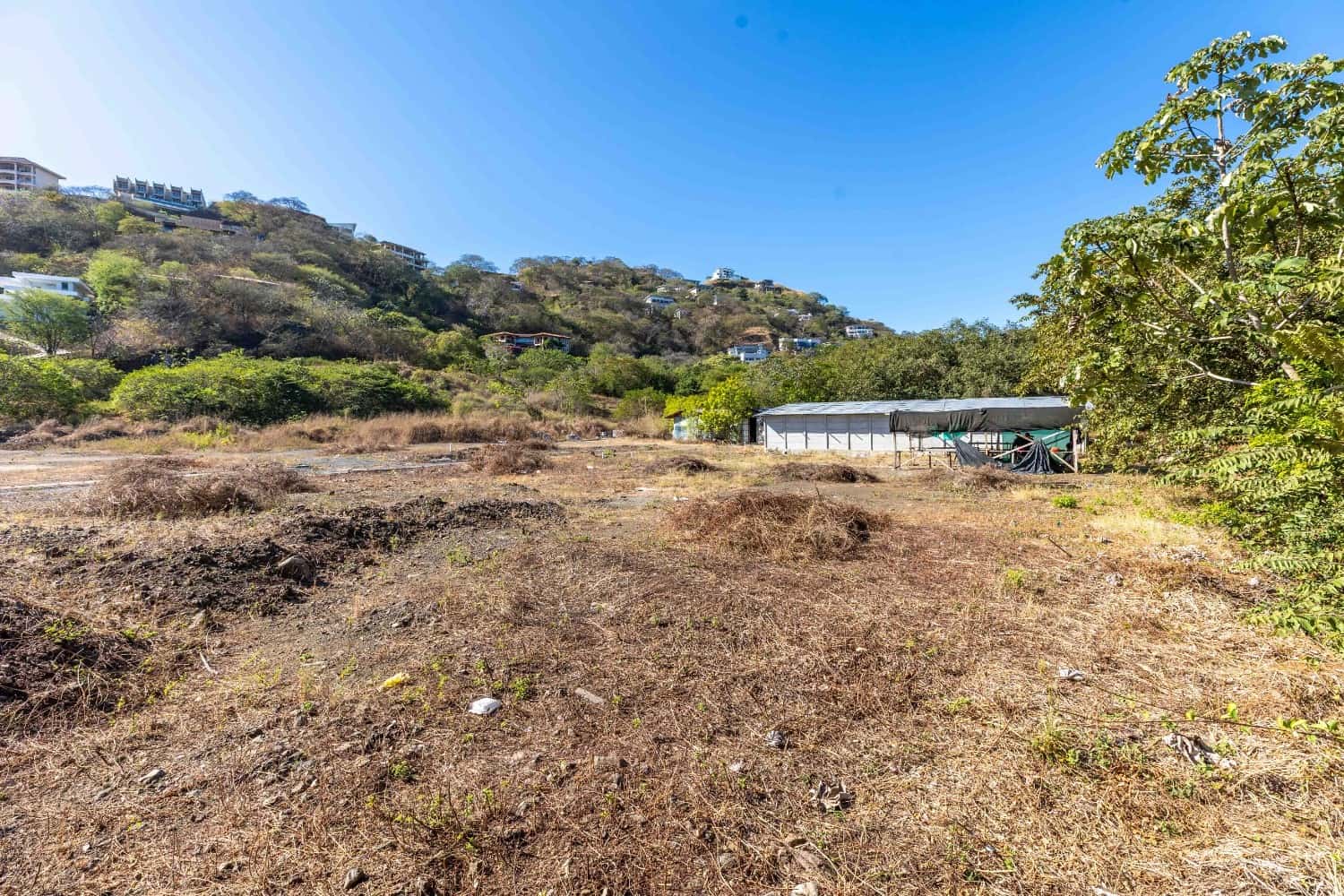 Lot 10 - Image 4