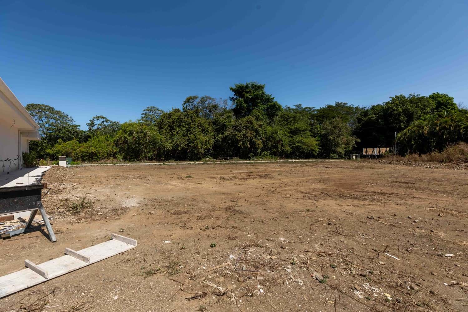 Lot 24 - Image 2