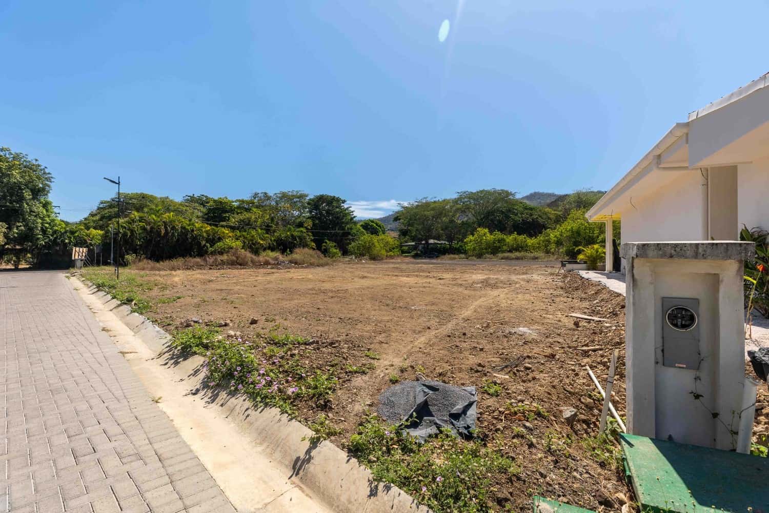 Lot 24 - Image 4