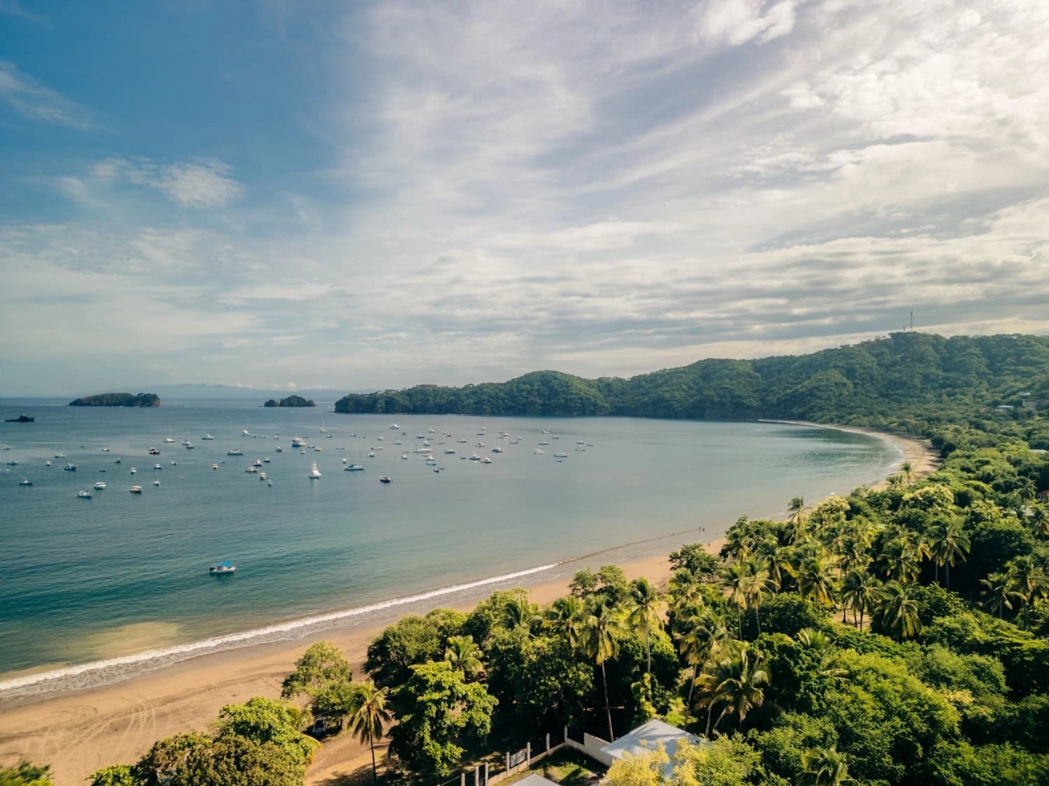 Lot 08 technical image